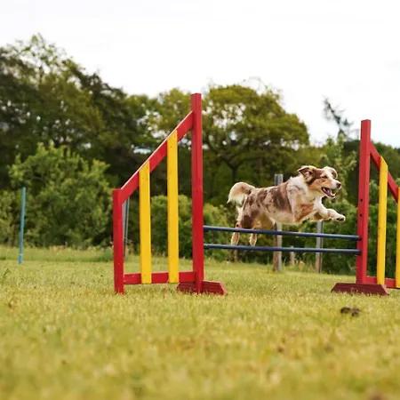 Prázdninový dům Hof Koehne - Landlust