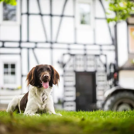 Hof Koehne - Landlust * Schmallenberg