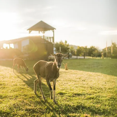 Hof Koehne - Landlust * Schmallenberg