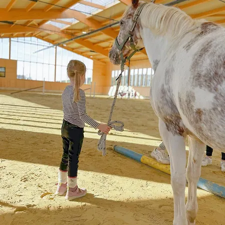 Vakantiehuis Hof Koehne - Landlust Schmallenberg