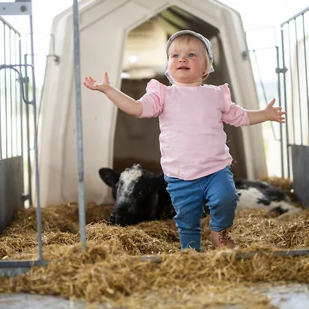 Hof Koehne - Landlust Prázdninový dům Schmallenberg
