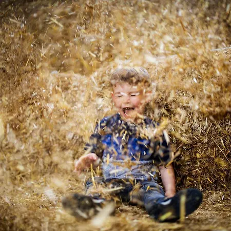 Hof Koehne - Landlust Prázdninový dům Schmallenberg