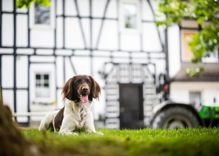 Hof Koehne - Landlust * Schmallenberg