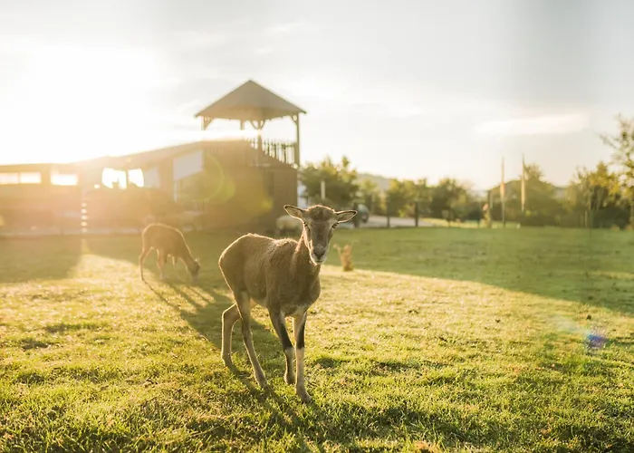Hof Koehne - Landlust * Schmallenberg