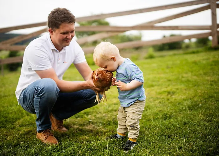 Hof Koehne - Landlust